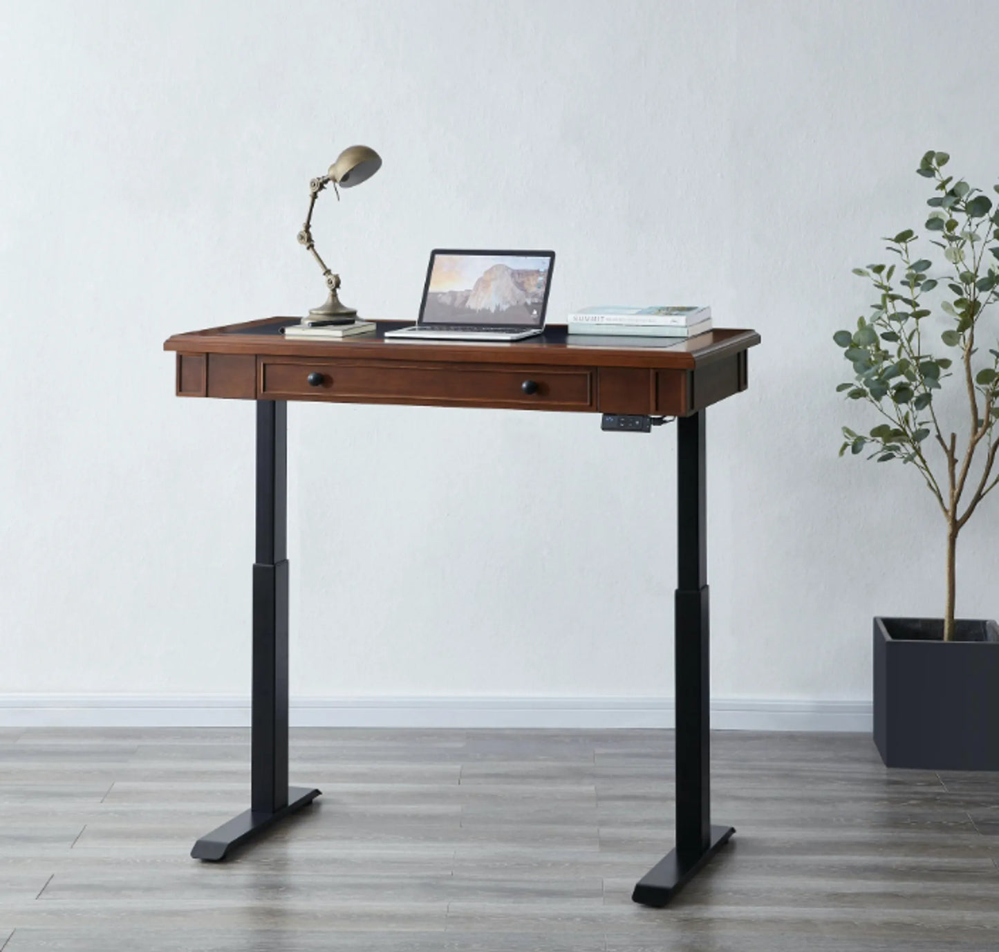 Danee Height Adjustable Desk by Kobe - 48" or 60" Wide