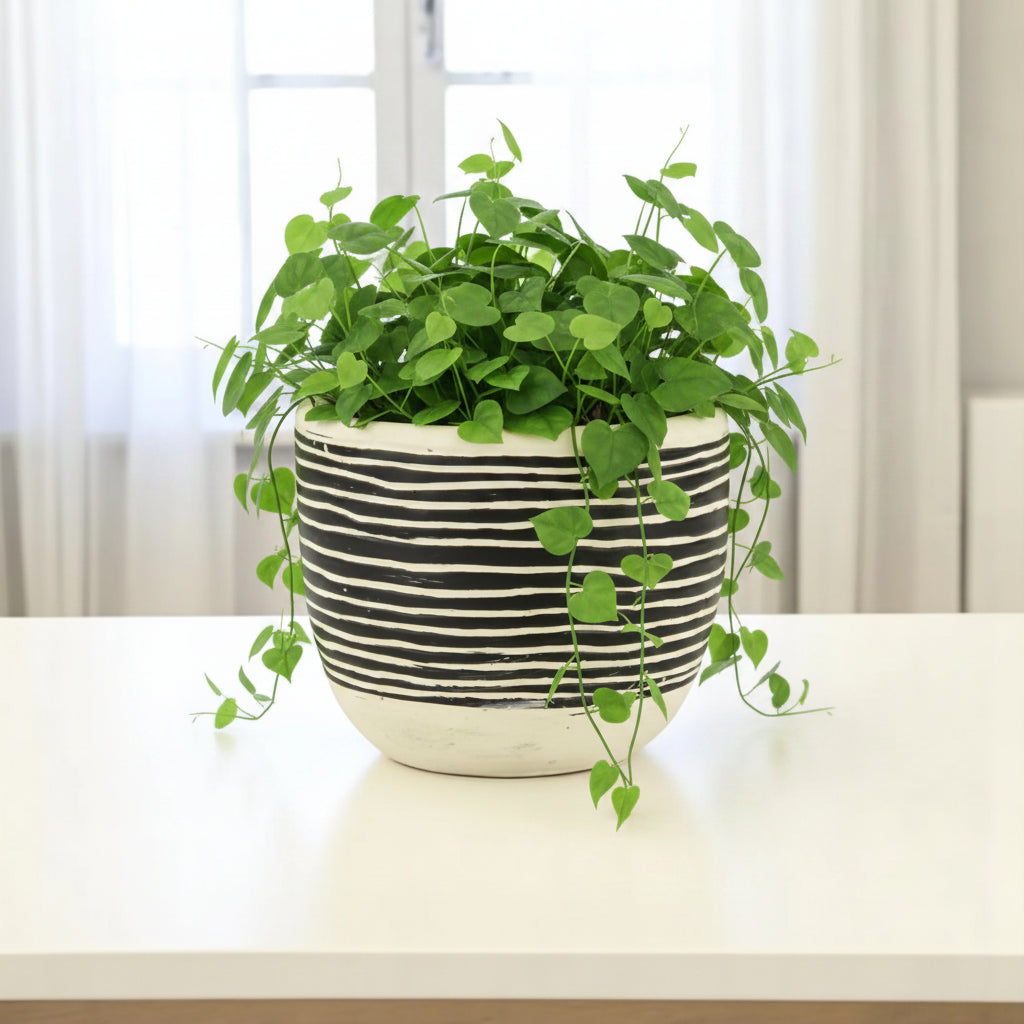 Ceramic 39 Ounce Striped Round Distressed Pot Planter