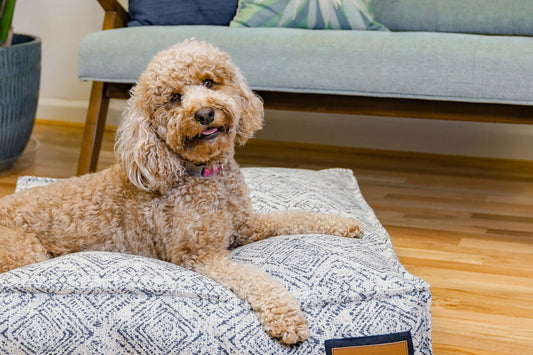 Lounger Pet Bed in Sapphire Spaniel - nobiliving.com
