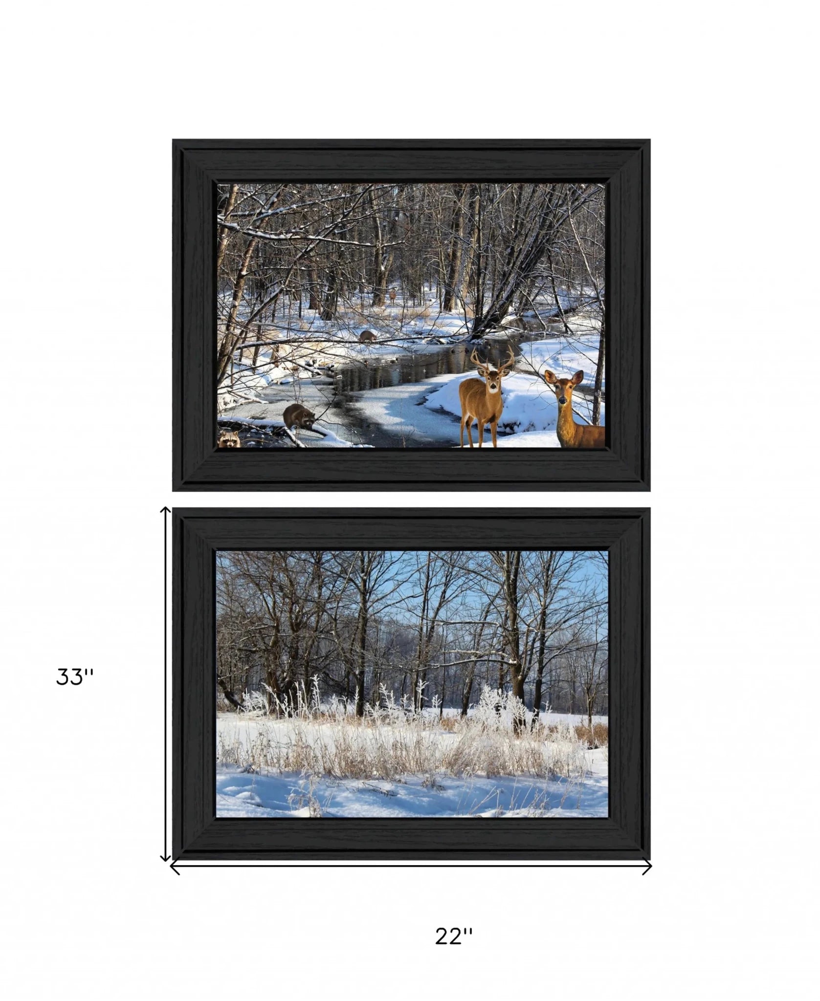 Set Of Two Great Outdoors Nature or Winter Forest 3 Black Framed Print Wall Art - Nobiliving