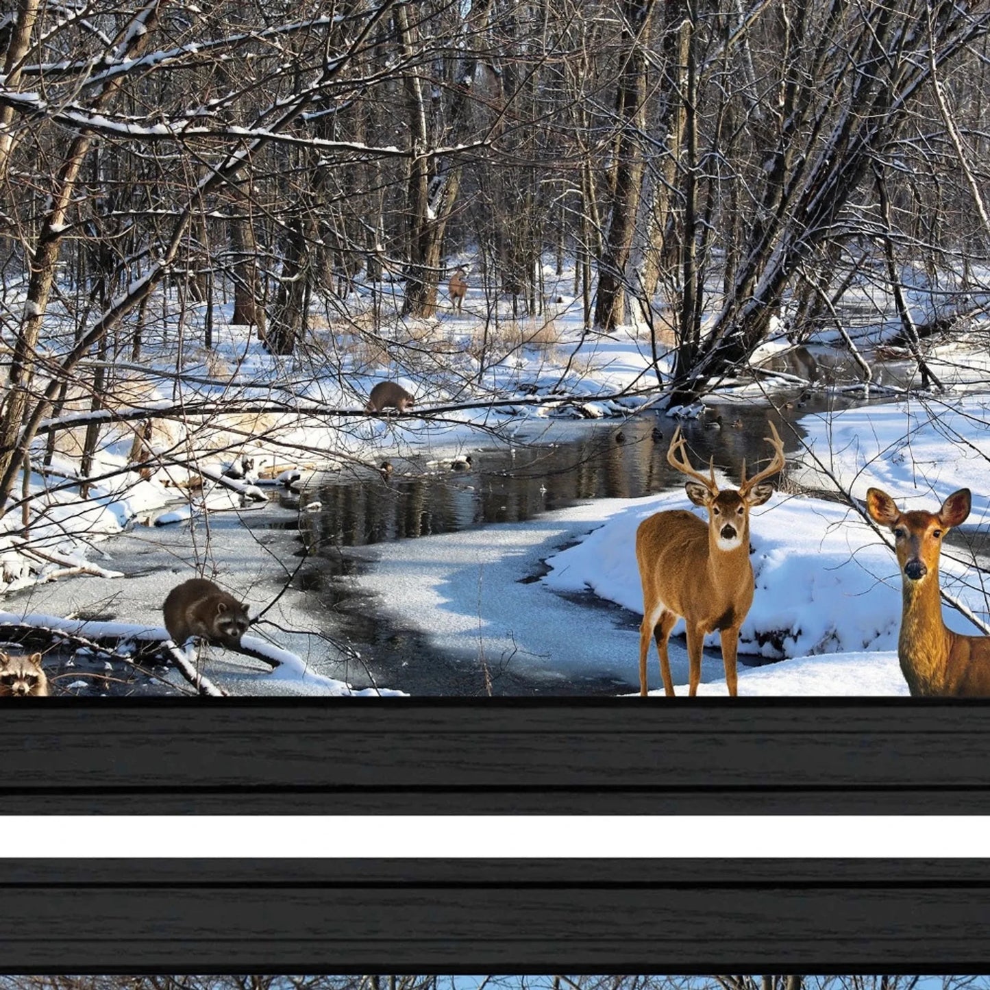 Set Of Two Great Outdoors Nature or Winter Forest 3 Black Framed Print Wall Art - Nobiliving