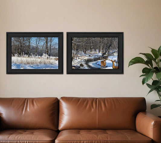 Set Of Two Great Outdoors Nature or Winter Forest 3 Black Framed Print Wall Art - Nobiliving