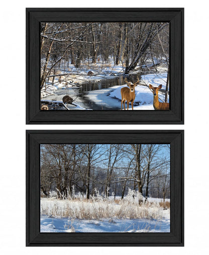 Set Of Two Great Outdoors Nature or Winter Forest 3 Black Framed Print Wall Art - Nobiliving