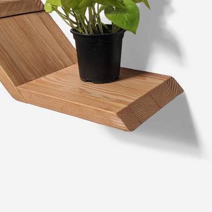 Unique Floating Wood Lean shelf